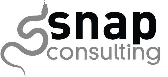Referenz SNAP Consulting – SAP-Beratungstätigkeit im Rahmen projektbasierter Zusammenarbeit